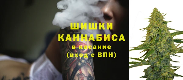 СК Санкт-Петербург