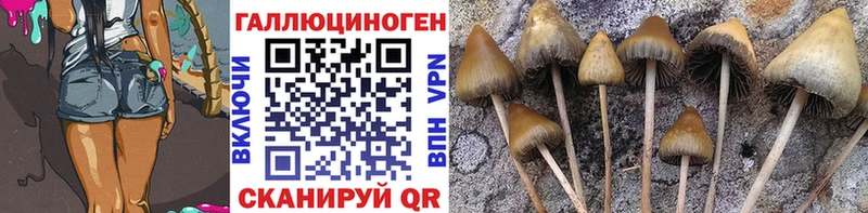 кракен вход  Яранск  Псилоцибиновые грибы GOLDEN TEACHER 